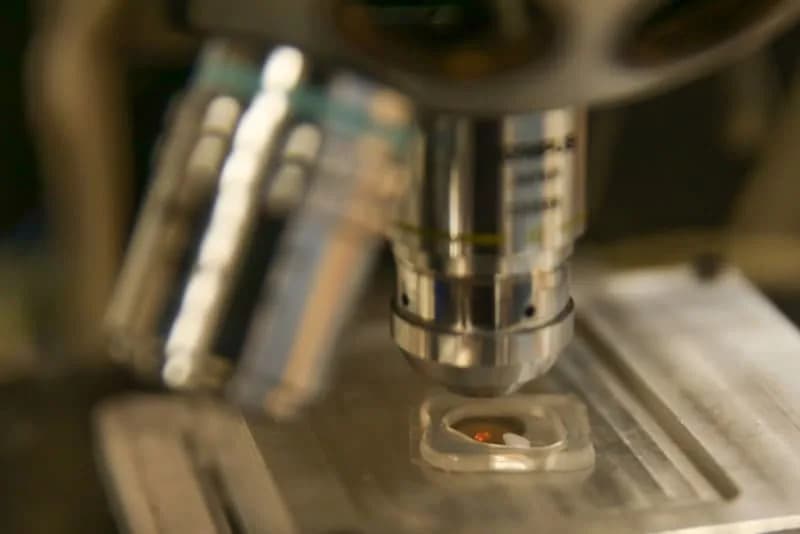 Otkriven viralni „prekidač“ PreS koji bi mogao pomoći u borbi protiv otpornosti na antibiotike