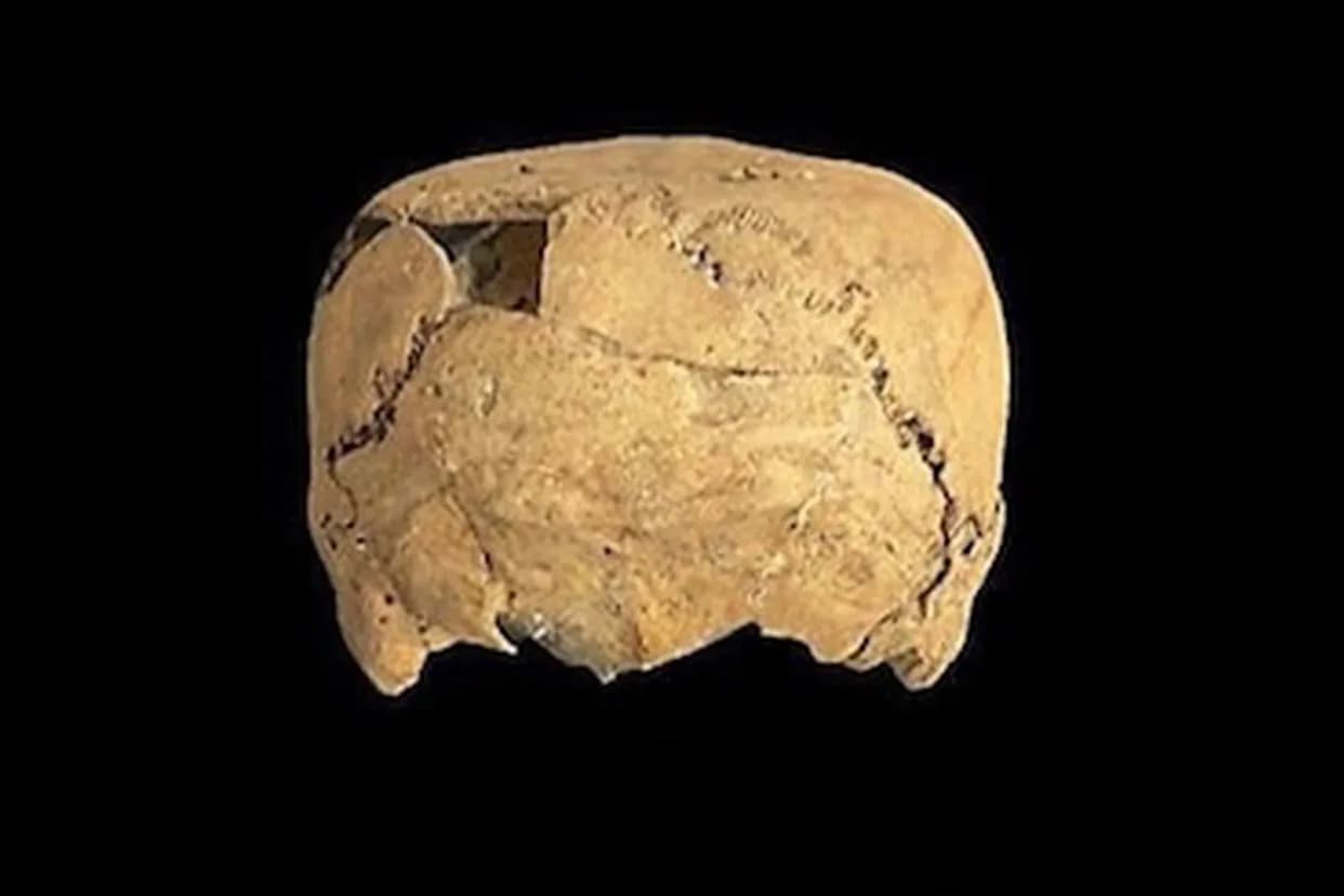 Otkrivena Kockasta Lubanja u Meksiku: Novi Uvid u Namerno Oblikovanje Glave Pre 1.000+ Godina