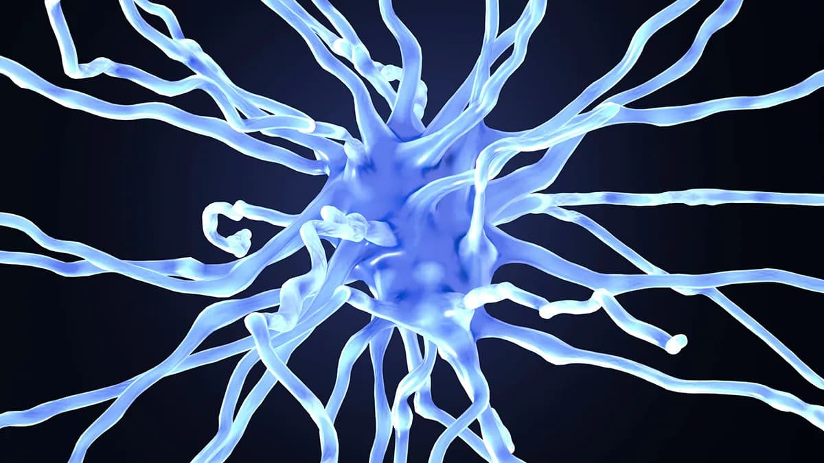 NU-9 Usporava Napredovanje Alchajmerove Bolesti u Miševima — Otkriven Podtip Oligomera ACU193+