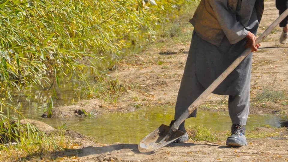 Suša U Afganistanu: Prinosi Jabuka Pali Sa 5.600 Na 2.100 Kg — Poljoprivreda Pod Pritiskom