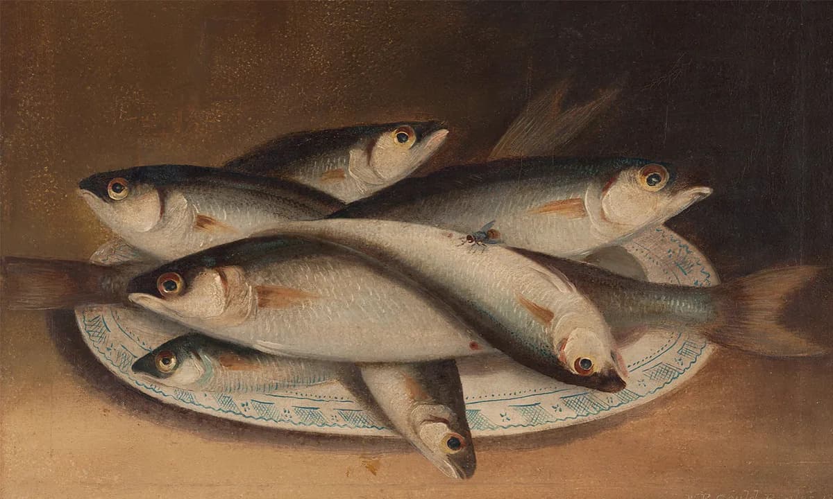 Kako „večne“ hemikalije (PFAS) završavaju na vašem tanjiru — opasna akumulacija u lancu ishrane