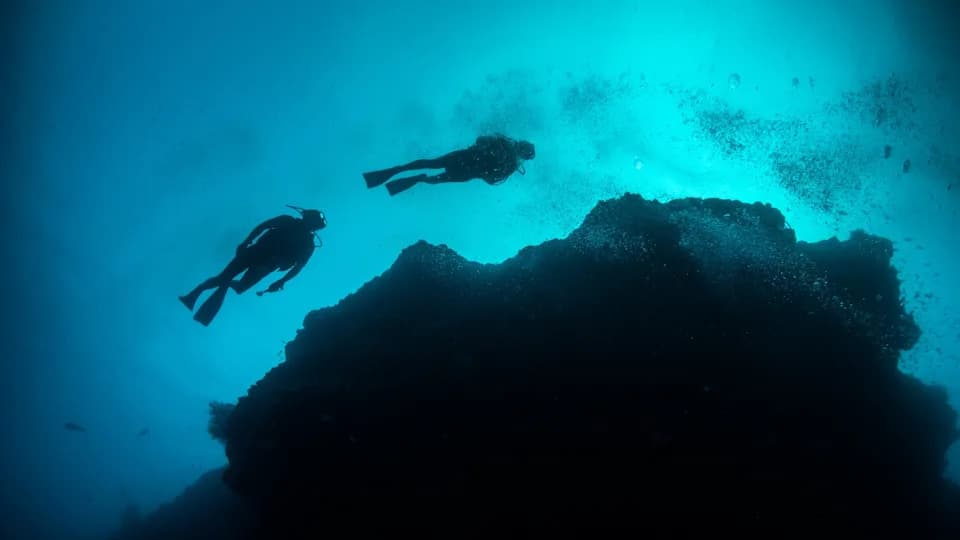 Zapanjujuća otkrića na ekspediciji u dubokom moru: bioluminiscentna ajkula i dve nove vrste porcelanskih raka