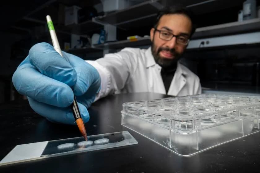 „Manipulacija sećanjem je neizbežna“ — Kako laboratorijsko prepisivanje uspomena može jednog dana da izleči ljude