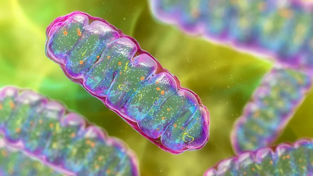 Najvažnije naučne priče 2025: Proboji u medicini, kvantima i svemiru usred rezova