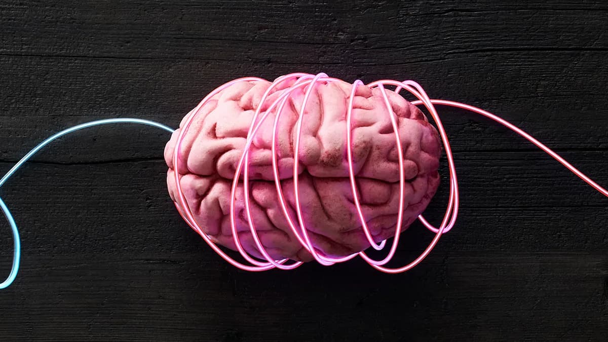 Mini‑moždani Otkrivaju Neuronske Potpise Šizofrenije i Bipolarnog Poremećaja