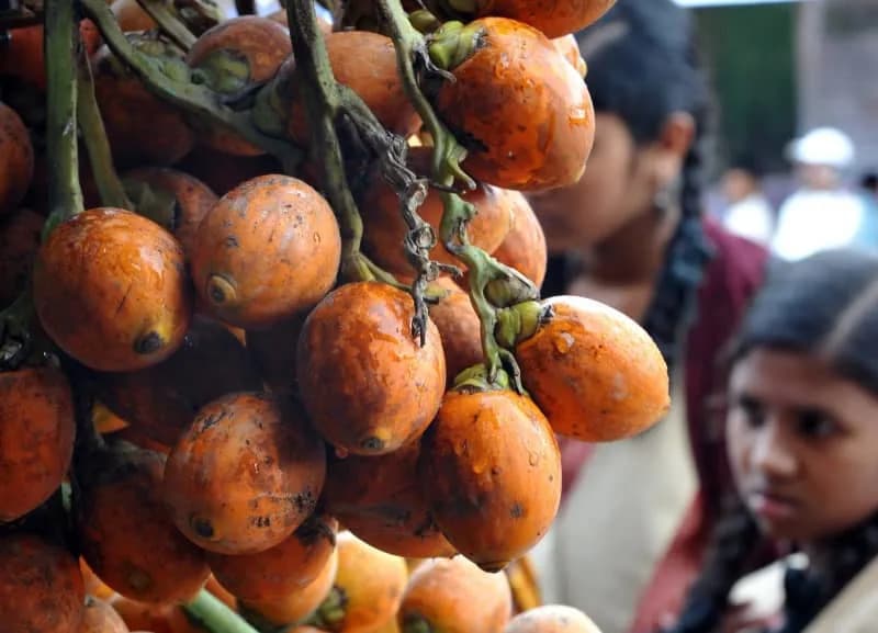 Prvi Biokemijski Dokazi Žvakanja Betel Oraha Stari 4.000 Godina Otkriveni U Jugoistočnoj Aziji