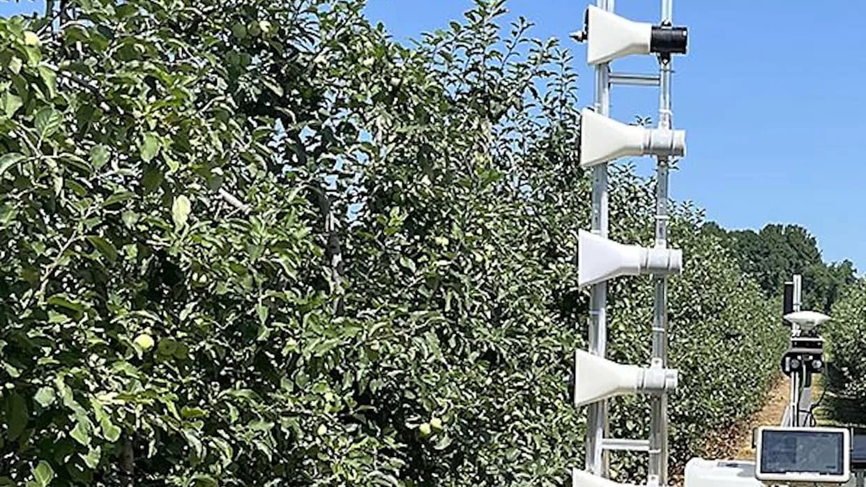 Penn State Obučava Doktorske Stipendiste Za Primenu AI U Voćarstvu — Prednosti I Izazovi Za Klimatski Osetljivu Poljoprivredu