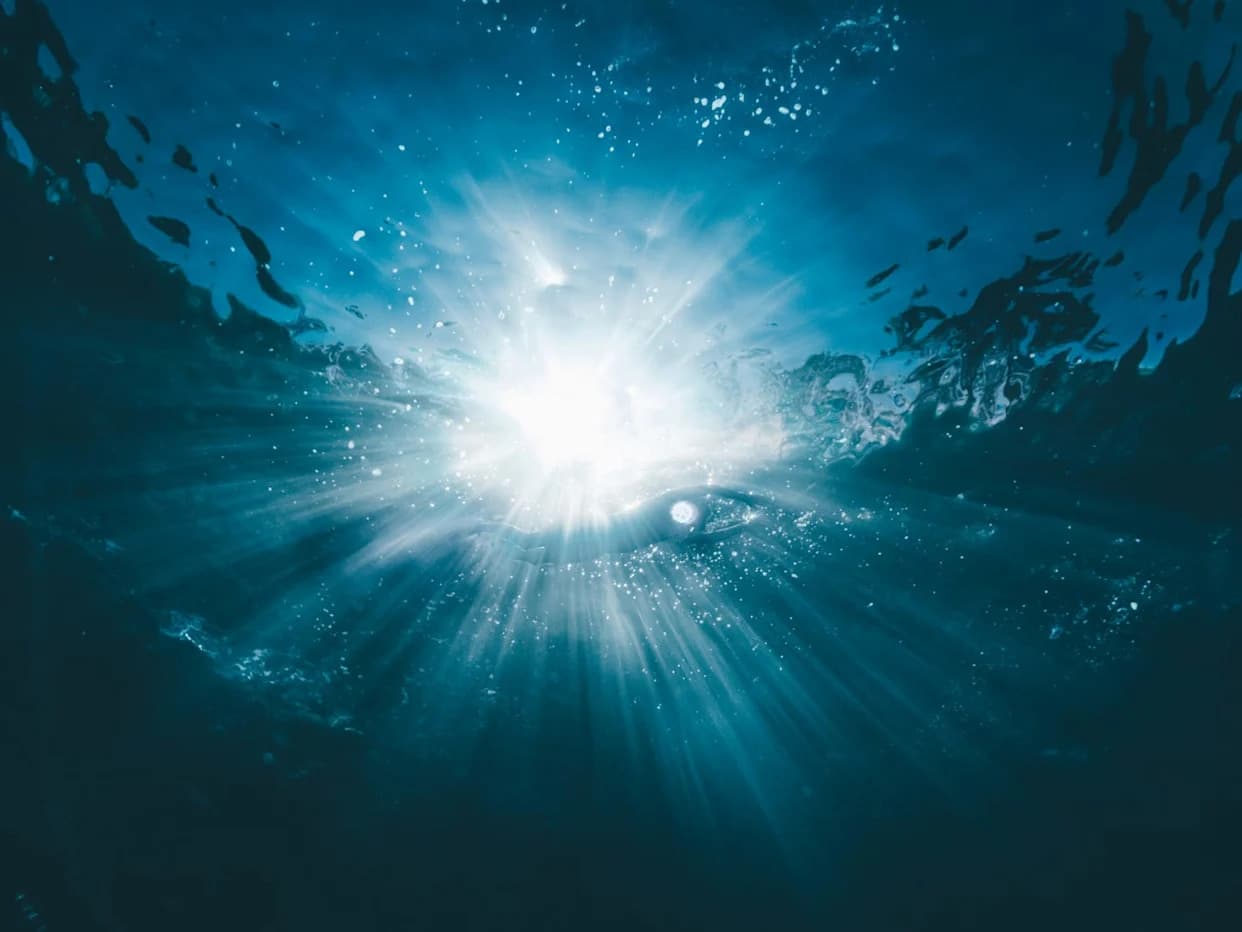 Pronađen Ritualno Sahranjen Pas Star Otprilike 5.000 Godina — Pored Tela Ležao Fino Poliran Bodež