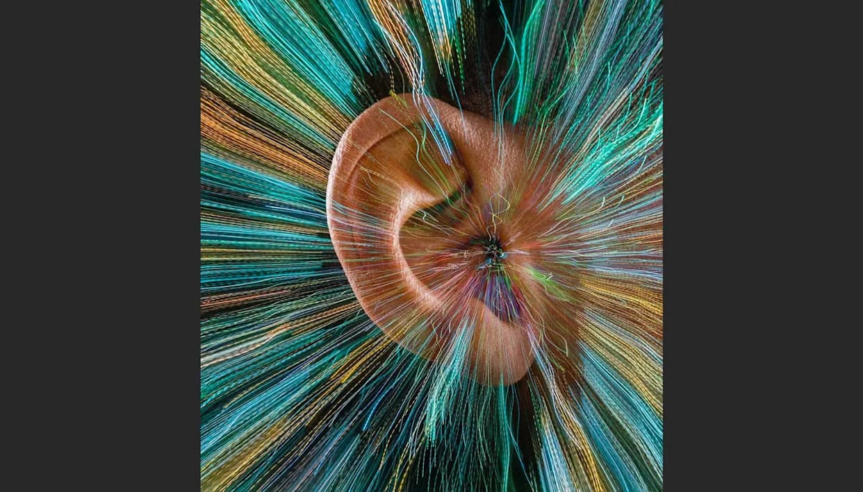 Naučnici Po Prvi Put Održali Unutrašnje Uvo Živo Izvan Tela — Otkrivena Ključna Uloga Hopfove Bifurkacije