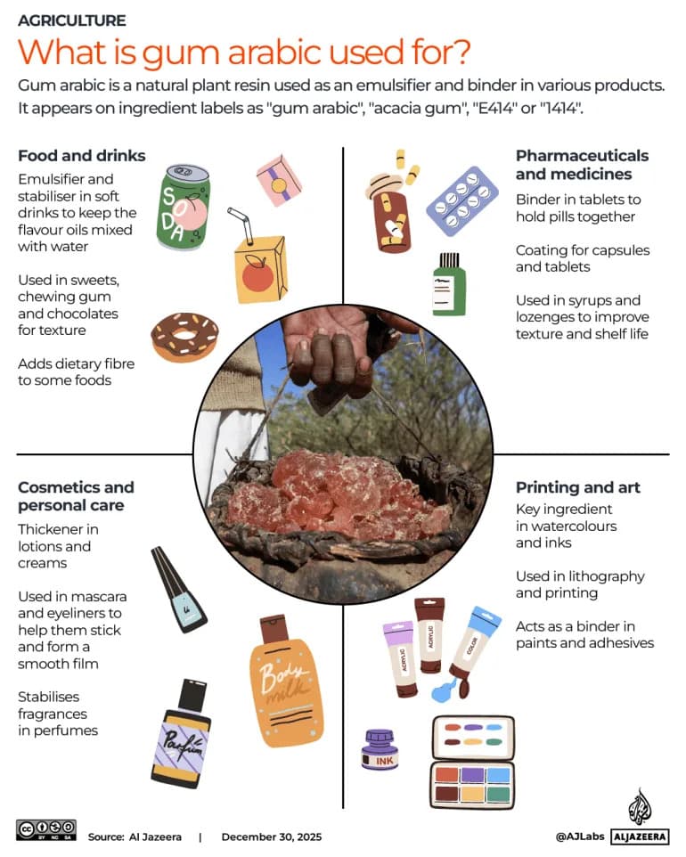 Kako arapska guma (gum arabic) hrani rat u Sudanu — tajni izvor prihoda RSF-a