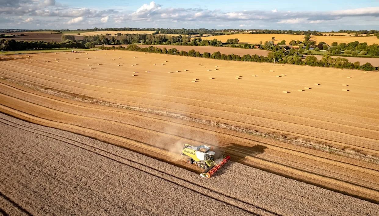 Još Jedna „Paklena“ Godina: Britanski Poljoprivrednici Izgubili Preko £800 Miliona u 2025.