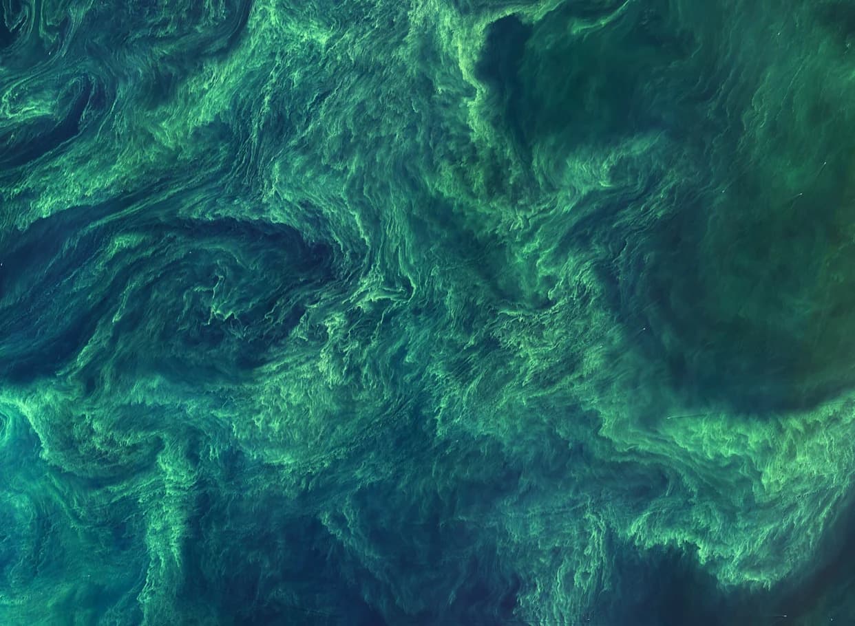 Naš Menjajući Planet Viđen Iz Svemira: Ljudi Preoblikuju Zemlju — Iran Se Suši