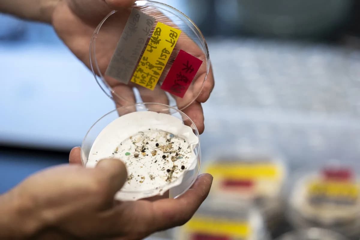 Skrivene „oblaci“ plastike iznad kineskih megagradova: Mikro- i nanoplastika nad Guangzhouom i Xi’anom