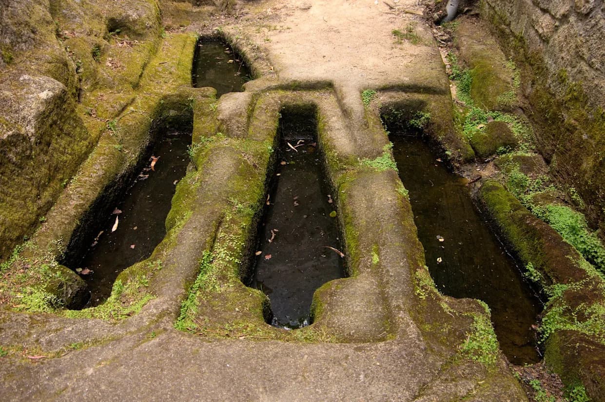 Otkriveni Grobovi Tri Ratnika Stari 1.100 Godina — Elitni Nalazi I Moguća Porodična Veza