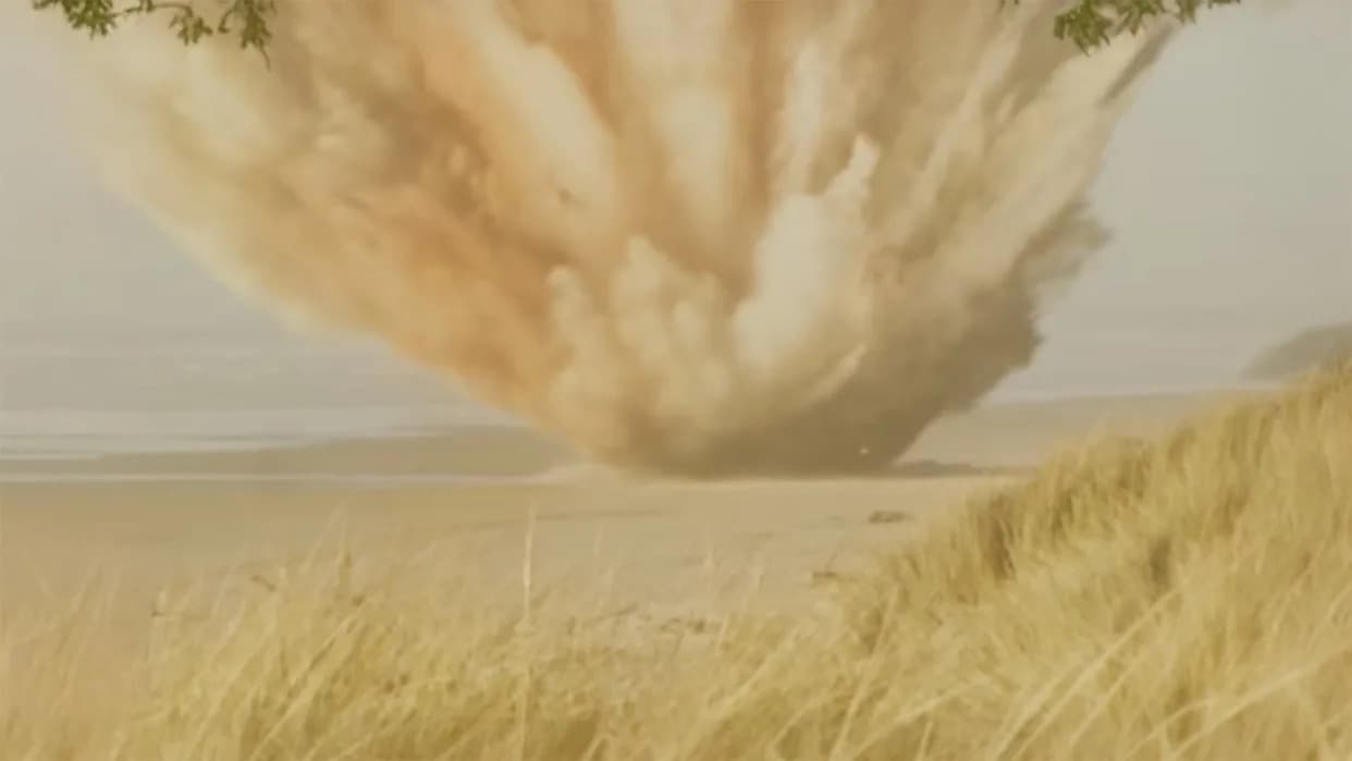 BUM! Kad Je Oregon 1970. Razneo Kita Dinamitom — Priča O „Exploding Whale“