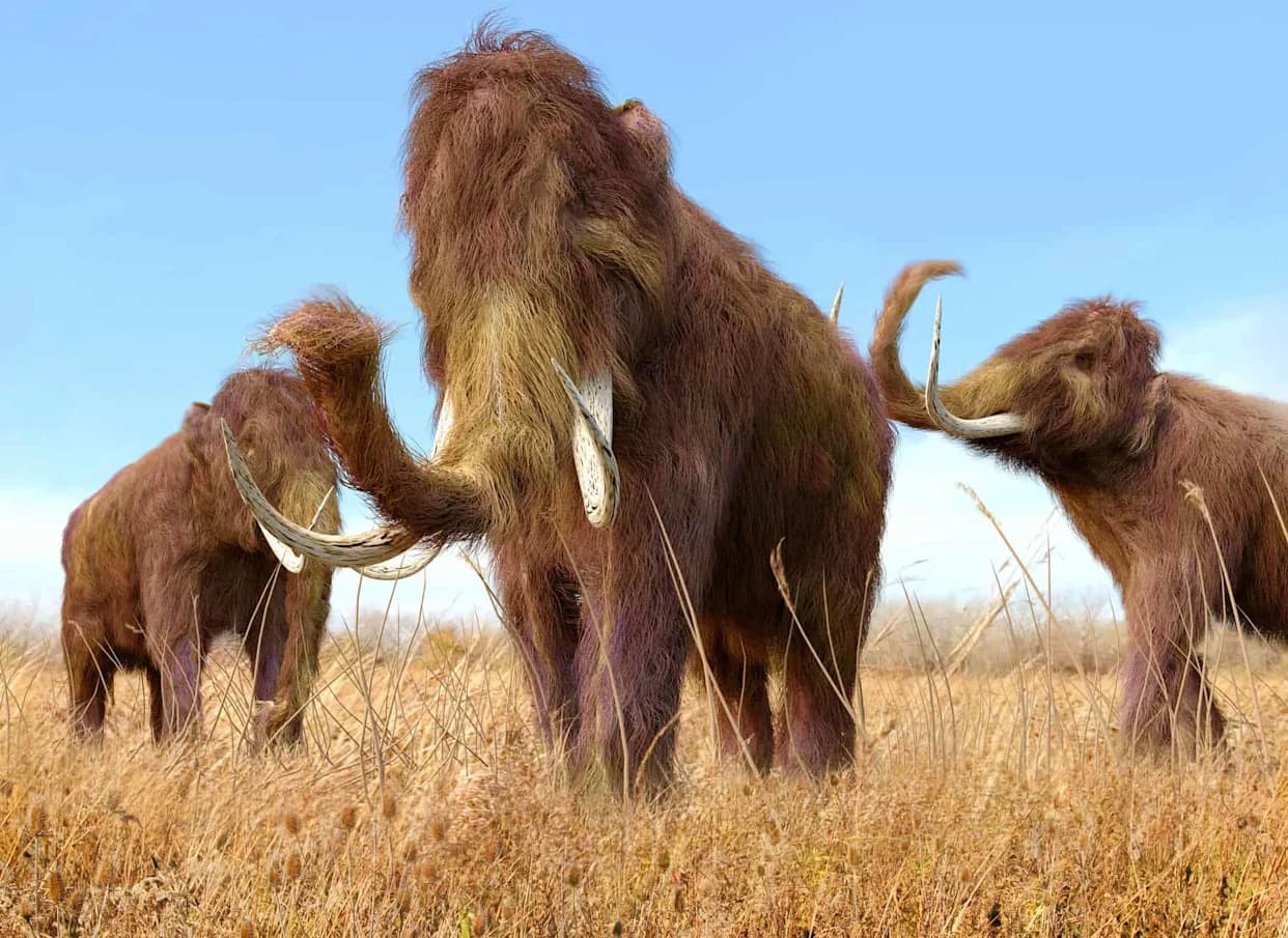 Zaleđeni mamut Yuka i najstarija RNA: šta otkriće menja u paleogenetici
