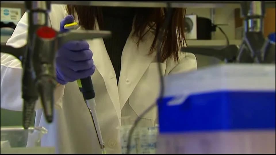 UCLA istraživanje povezuje gen KDM6A, menopauzu i upalu mozga — može li hormonska terapija pomoći?