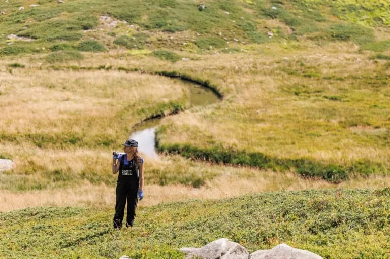 Naučnica Dobila "Nobel Za Okolinu" Za Otkrivanje Tajnih Podzemnih Mreža Gljiva Koje Vežu 13,12 Milijardi Tona Ugljenika