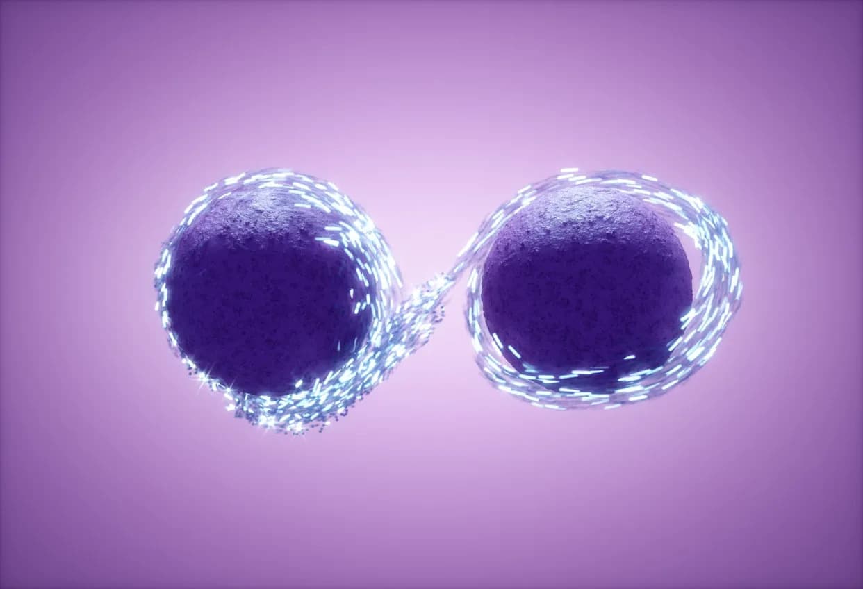 Moguća Interakcija Tamne Materije i Neutrina — Zašto Bi To Moglo Promeniti Naše Razumevanje Svemira