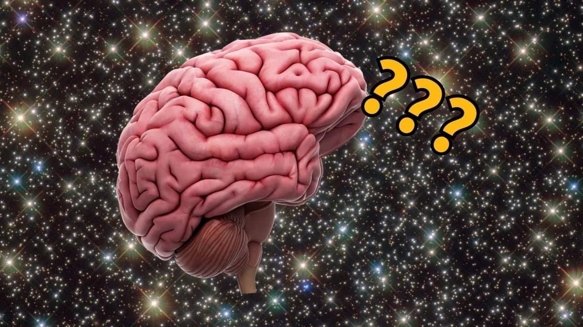 Svemir Mijenja Mozak: Astronauti Se Vraćaju Na Zemlju Sa Dugotrajnim Anatomskim Promenama