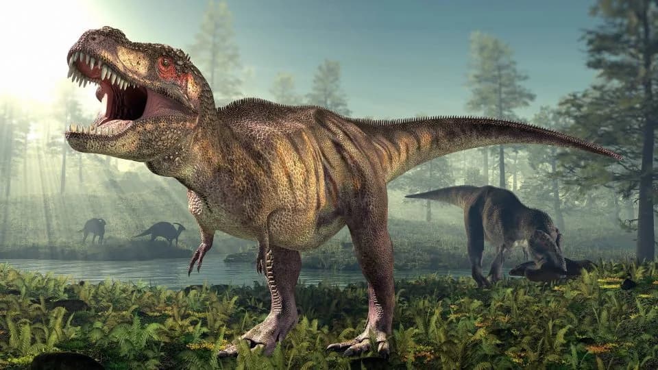 Nova studija: T. rex je dostizao punu veličinu sporije — punih 35–40 godina