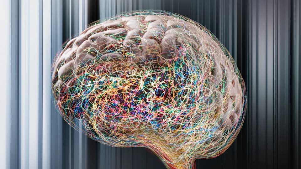 „Zombirane” ćelije mogle bi pokretati najčešći oblik epilepsije — senolitici smanjili napade kod miševa