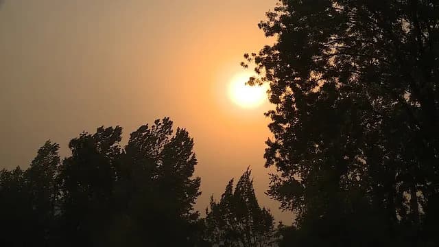 Istraživanje OHSU: Zagađenje Vazduha Povezano Sa Strukturnim Promenama Mozga Kod Adolescenata