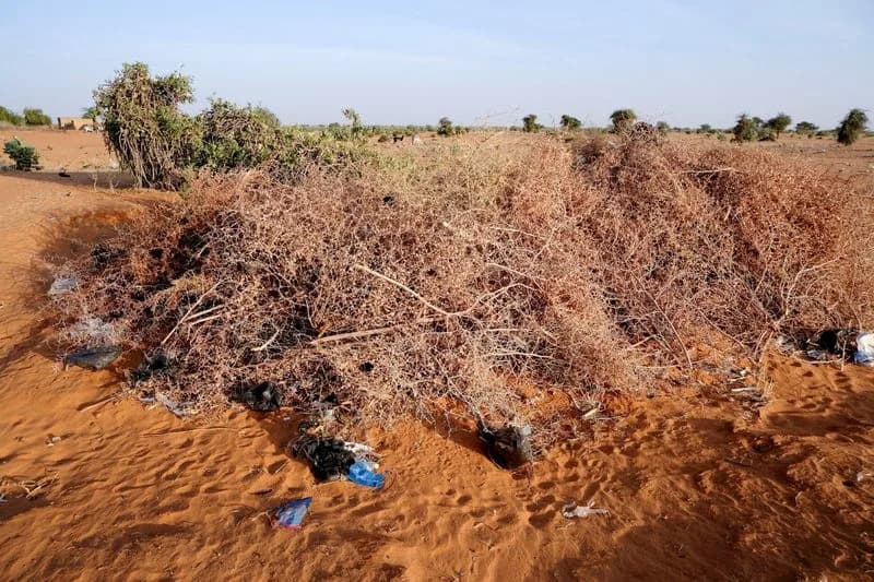 Dronovi Pogađaju Al-Obeid: Masovne Žrtve, Novi Grobovi i Strah Od Opkoljavanja