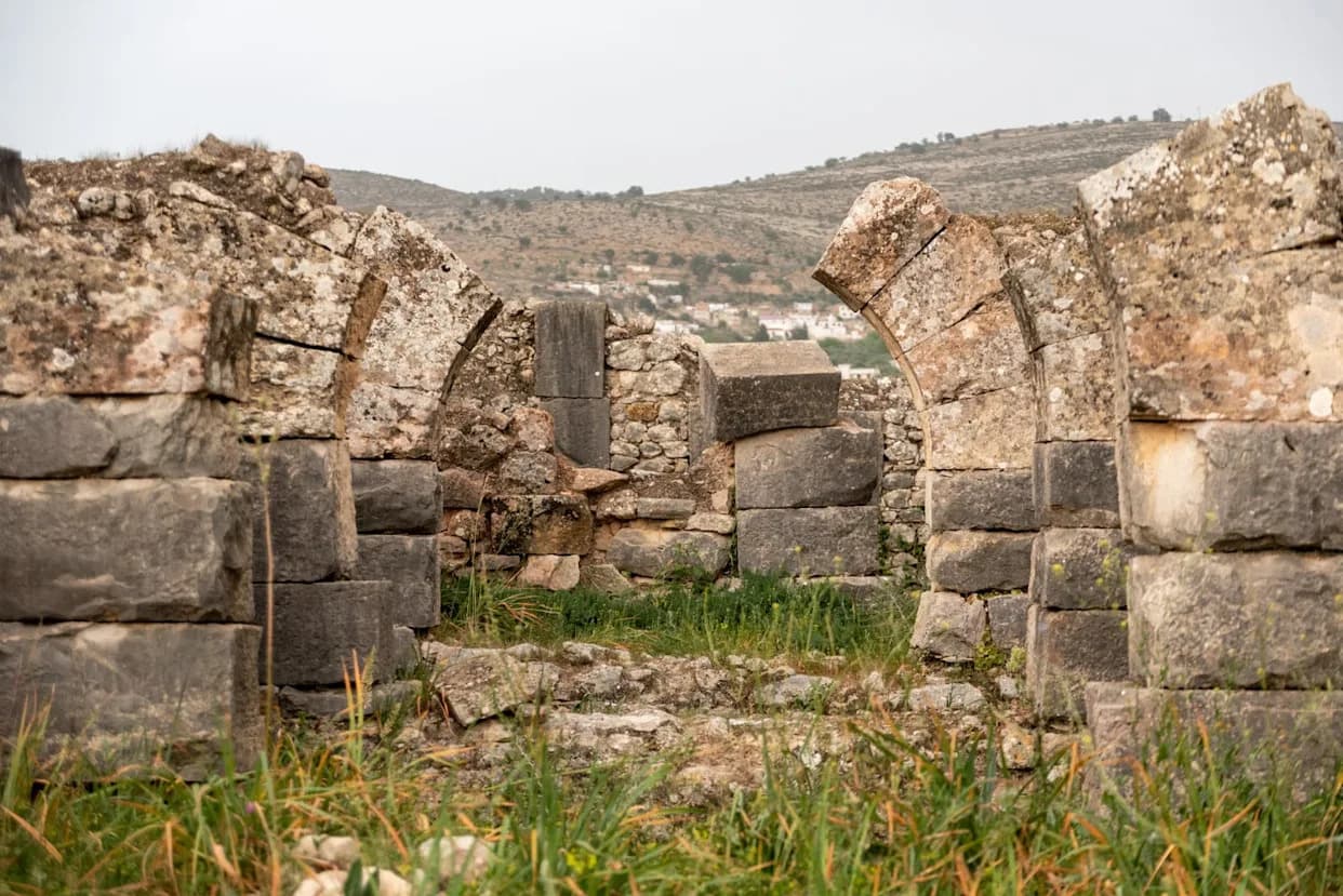 Arheološka senzacija: Volonteri na satelitskim snimcima otkrili četiri rimska marširska logora u Nemačkoj