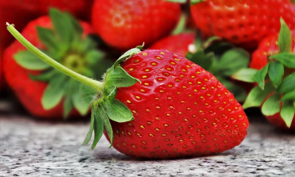 Kako je gajena jagoda završila sa osam kopija hromozoma — šta nam govori njen „Franken-genom“