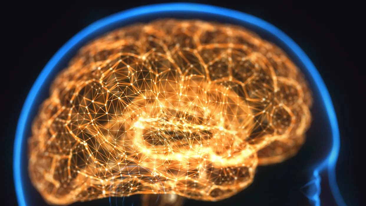 Šta Su Lažna Sećanja i Zašto Verujemo U Njih? Objašnjenje Mandela Efekta i Nauke O Pamćenju