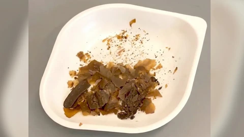 Tajna iz Pergamona: Rimljani su pre oko 1.900 godina koristili ljudski izmet kao lek — timijan je prikrivao miris