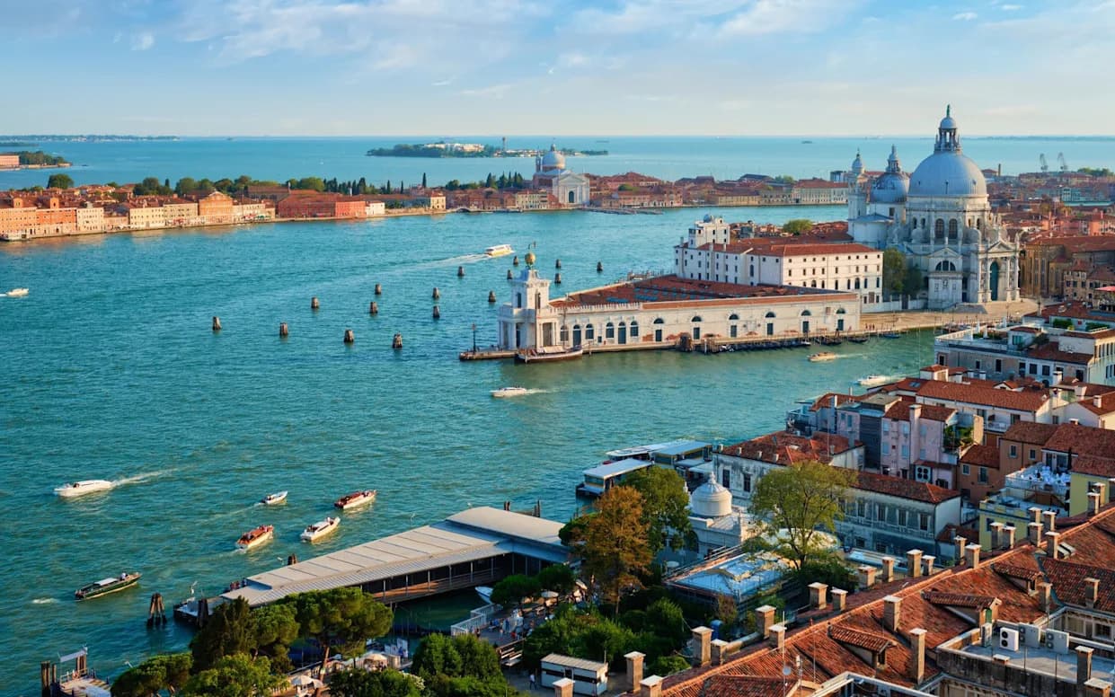 Invazija u Veneciji: Želatinasti Ktenofor (Mnemiopsis leidyi) Preti Ribarstvu i Ekosistemu Lagune