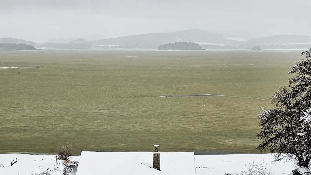 Smaragdni led na Jezeru Lipno: retko zimsko cvetanje cijanobakterija i šta to znači