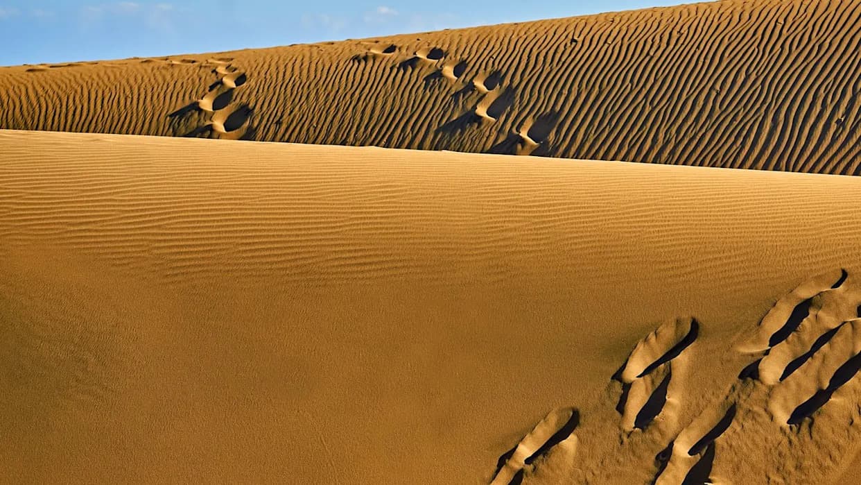 7.000-godišnje mumije iz Takarkorija otkrivaju ranije nepoznatu severnoafričku DNK