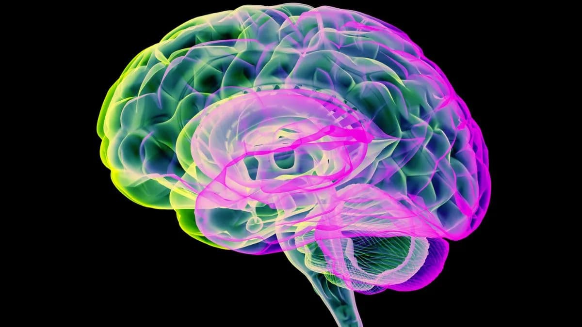 Pulsovi CO₂ Pojačavaju Glimfatičko Čišćenje Mozga — nova studija daje obećavajuće rezultate za Parkinsonovu