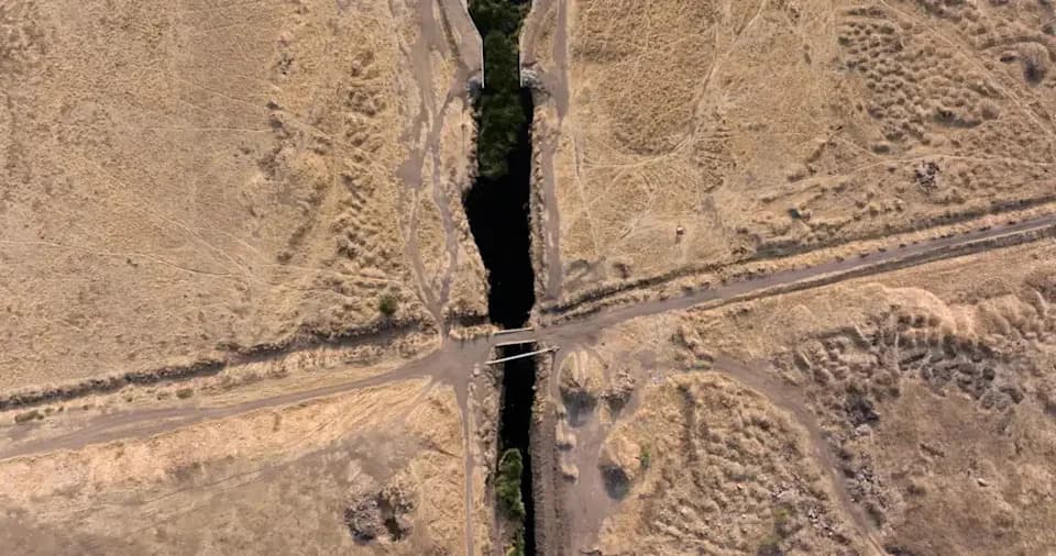 Quili.AI: 'Dan bez AI' u Quilicuri — Kako zajednica preuzima ulogu chatbota i ističe trošak veštačke inteligencije