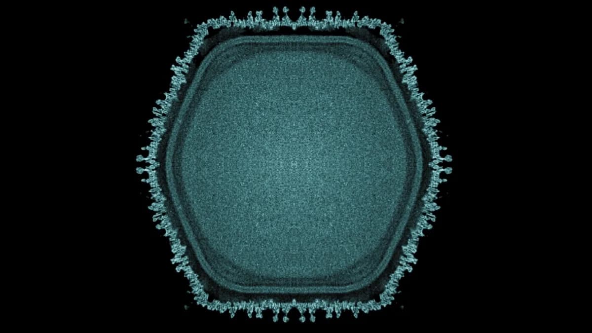 Otkriven Ushikuvirus — Džinovski Virus Iz Japanskog Bazenčića Koji Može Rasvetliti Poreklo Eukariota