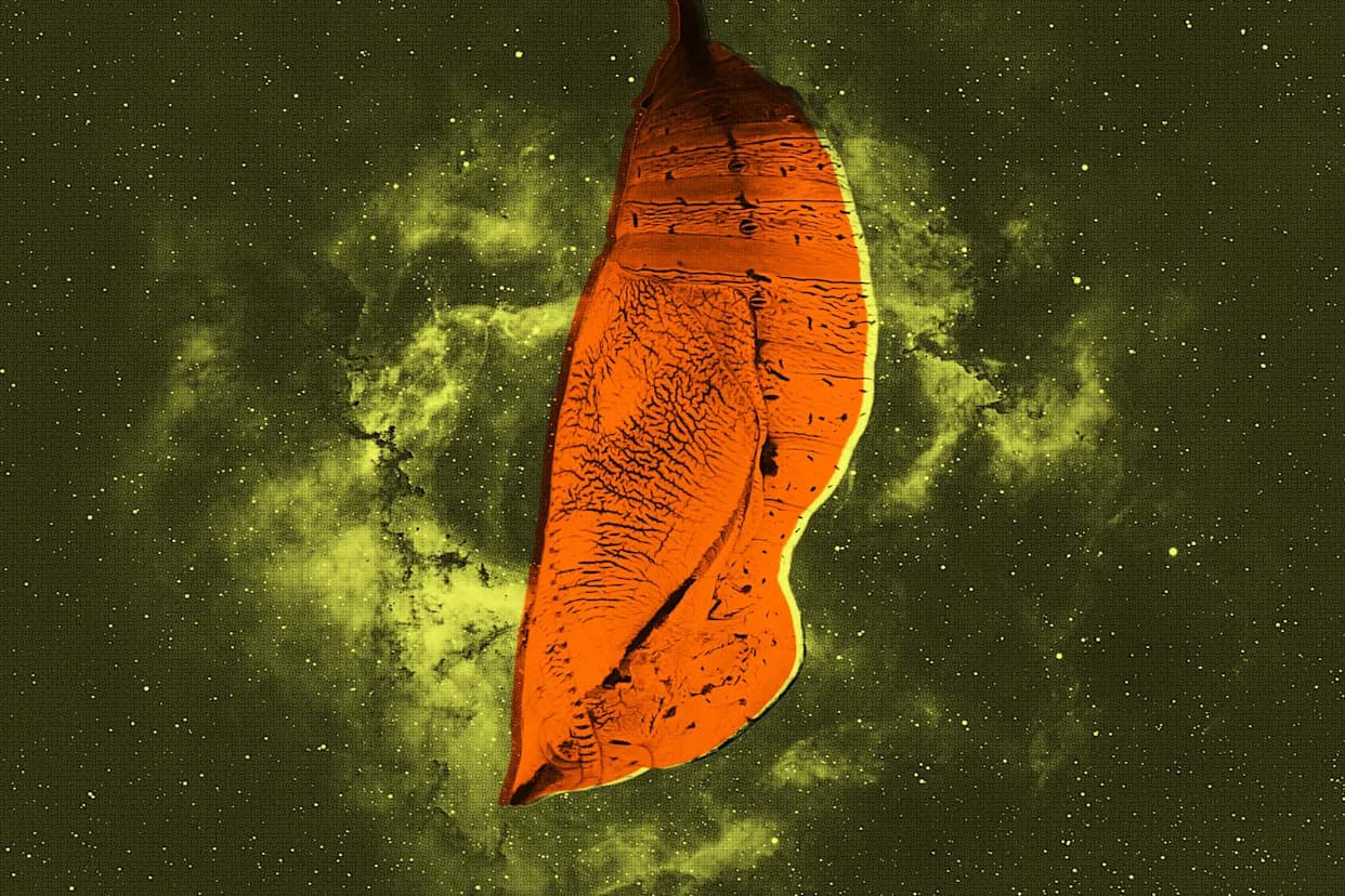 Galaktičke nemani u „kokonima“: nova teorija objašnjava misteriozne „Little Red Dots“