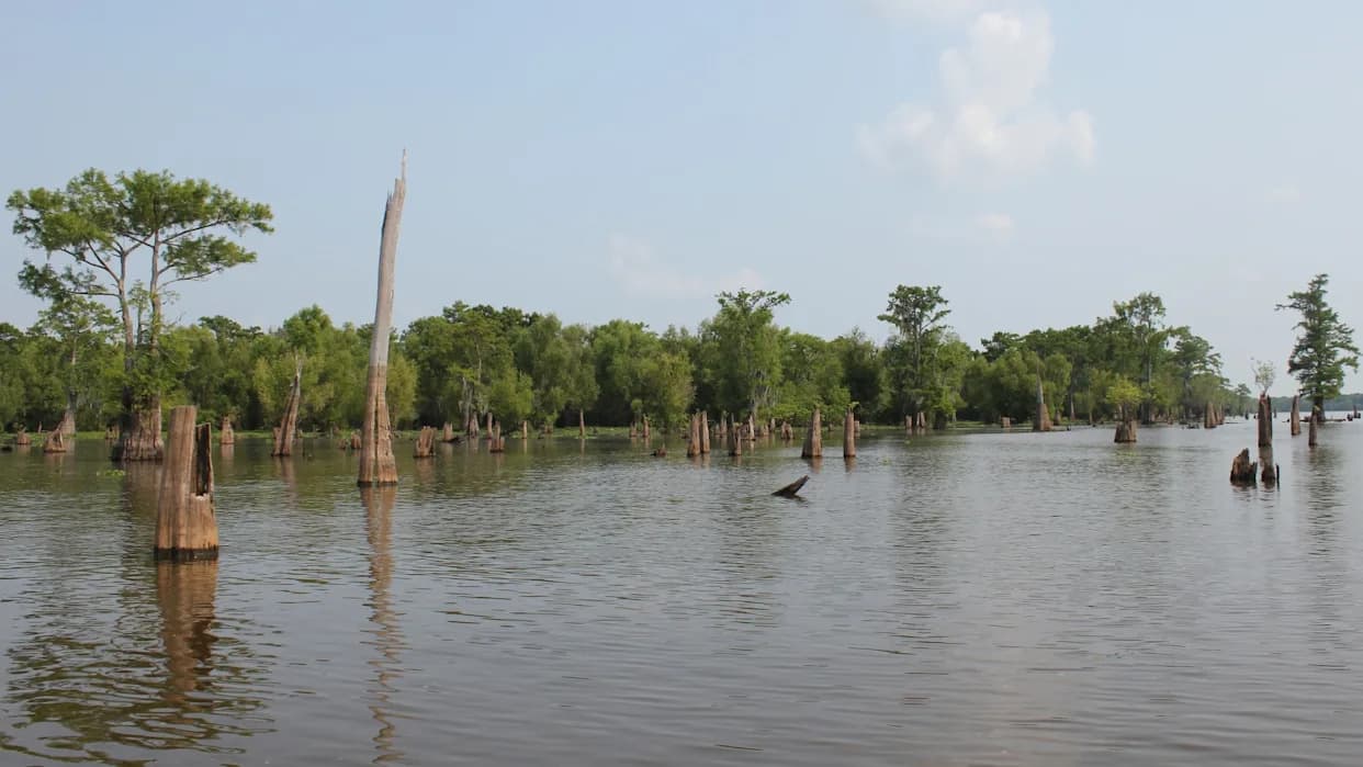 Upozorenje naučnika: Rečne delte tone brže nego što more raste — 236+ miliona ljudi u riziku