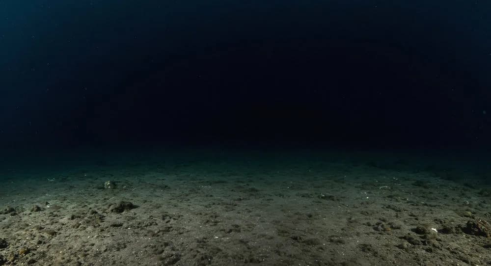 Morski Darkwave: Nova Pretnja Koja Zamračuje Podmorje i Ugrožava Morski Život