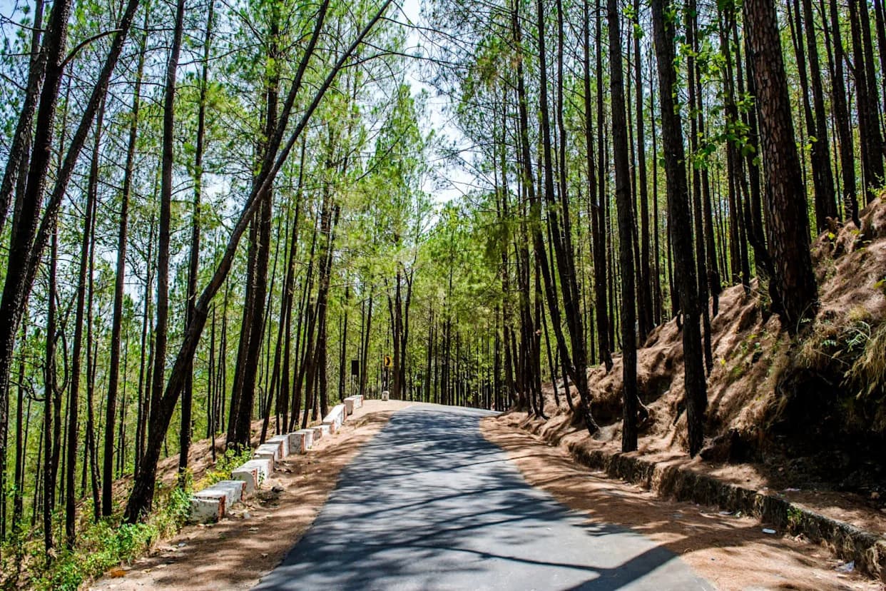 Naučnici Upozoravaju: „Lažno Proleće“ I Hidrološka Suša Ugrožavaju Glečere i Useve u Uttarakhandu