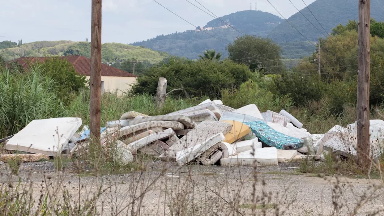 Gljive pretvaraju stare dušeke u vatrootpornu izolaciju