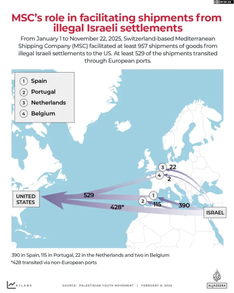 Istraga: MSC Je Olakšavala Izvoz Iz Izraelskih Naselja Preko Evropskih Luka