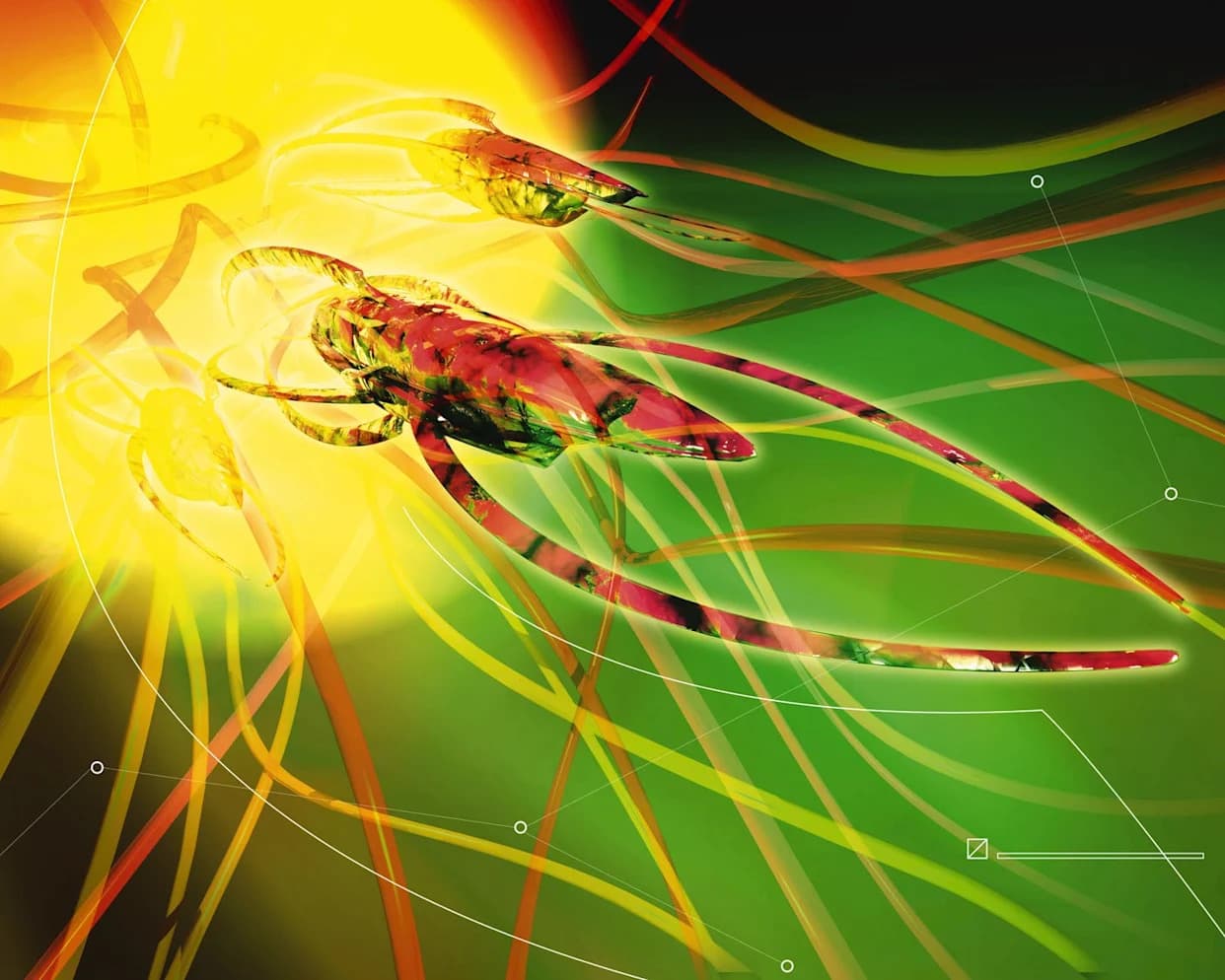 Evolucija Ubrzana Posle Izumiranja: Plankton Se Vratio Za Manje Od 2.000 Godina