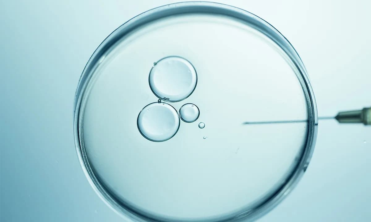 Žena Koja Je Otvorila Put Za IVF — Kako je Miriam Menkin Promenila Reproduktivnu Medicinu