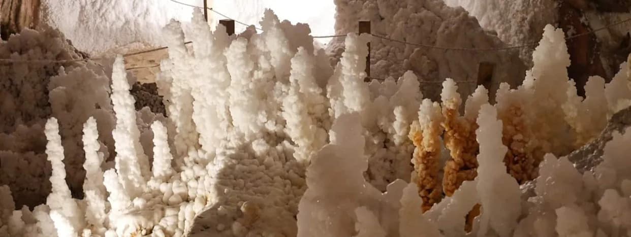 Kataklizmički potop koji možda nije bio: Novi pogled na Messinsku krizu slanosti