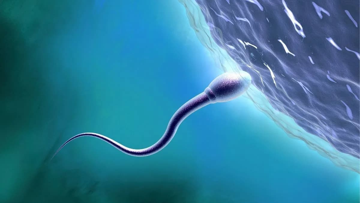 Naučnici Upozoravaju: Reproduktivno Zdravlje U Svemiru Je Zapostavljeno — Hitno Su Potrebna Pravila I Istraživanja