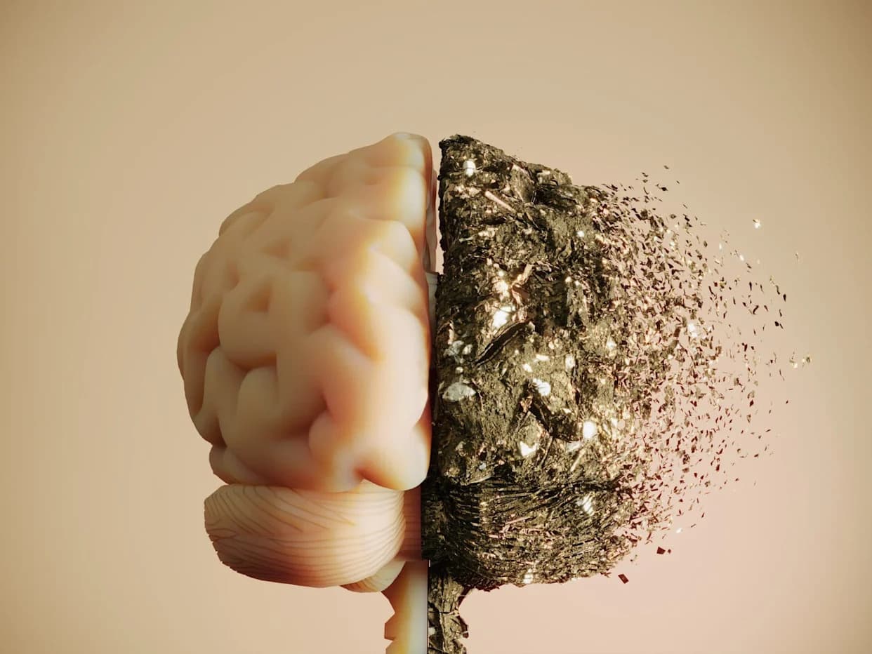 Šaperon „Funes“ Otkriven: Amiloidni Proteini Mogu Pomoći Formiranju Dugoročnih Sećanja