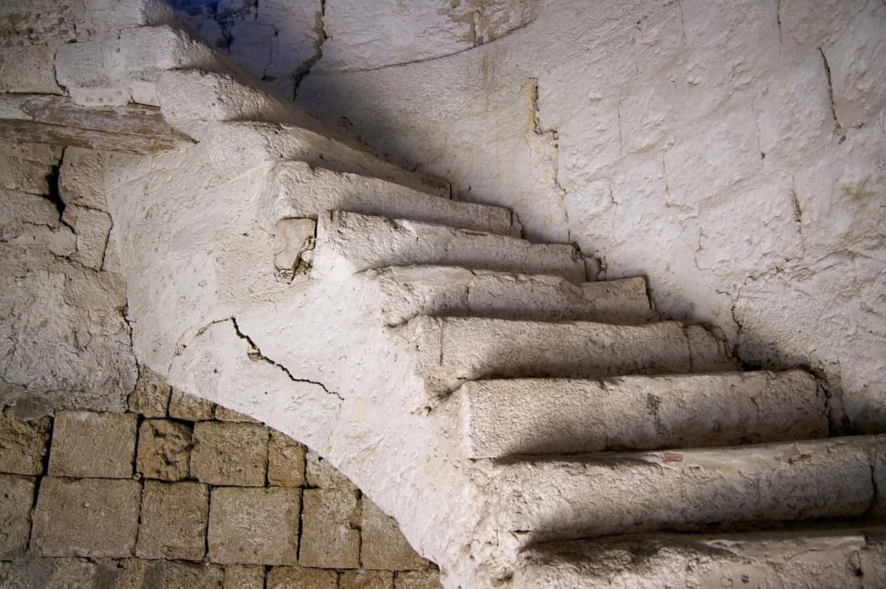 U Kolnu Otkriveno Rimsko Stepenište Starо 2.000 Godina — Prvi Lararijum Severu Alpa i Ostaci Bazilike